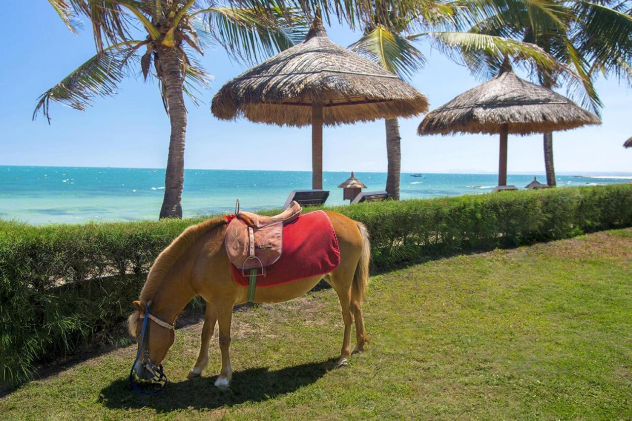 Victoria Phan Thiet Beach Resort & Spa Mũi Né Eksteriør billede